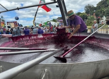 IMG_3531 red-1771717176.jpg